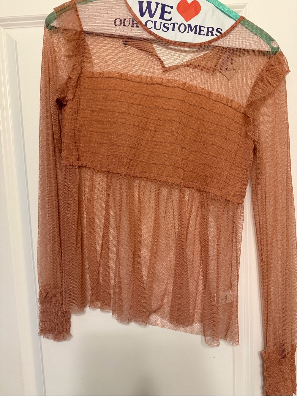Sheer Long-Sleeve Mesh Top in Rust